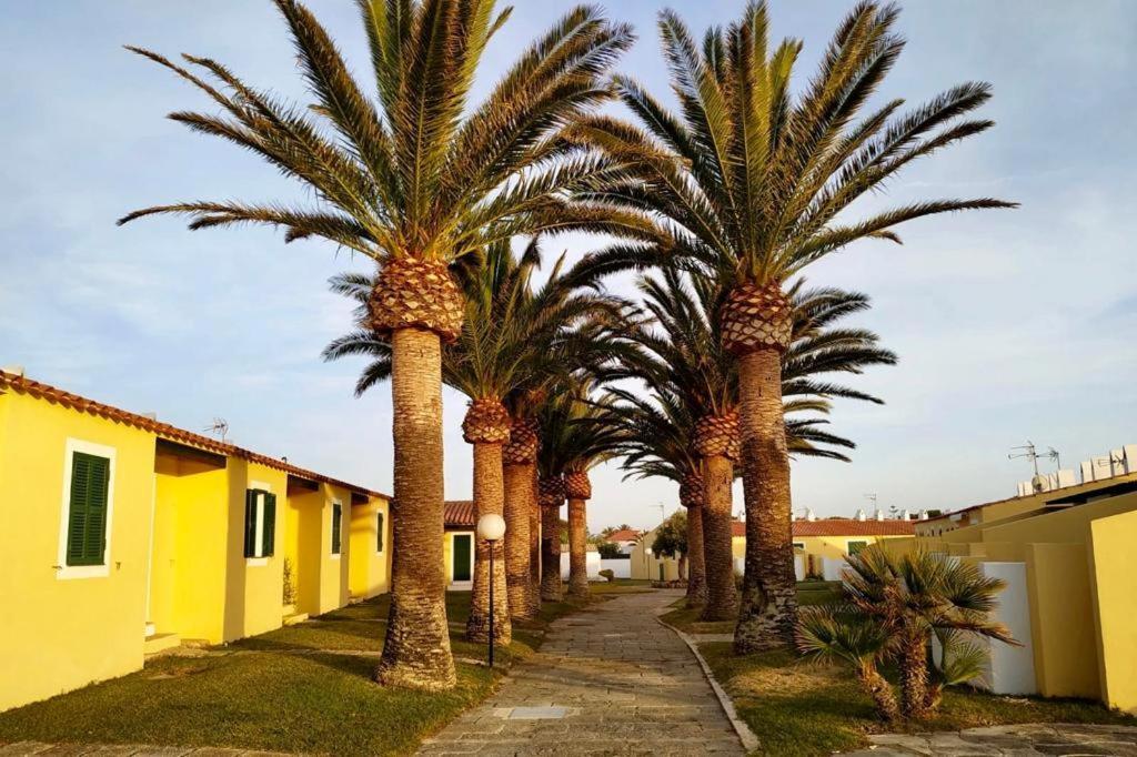 Apartamento 7 Palmeras Ciutadella (Menorca) Exterior foto
